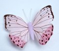 207770 Veren vlinder roze